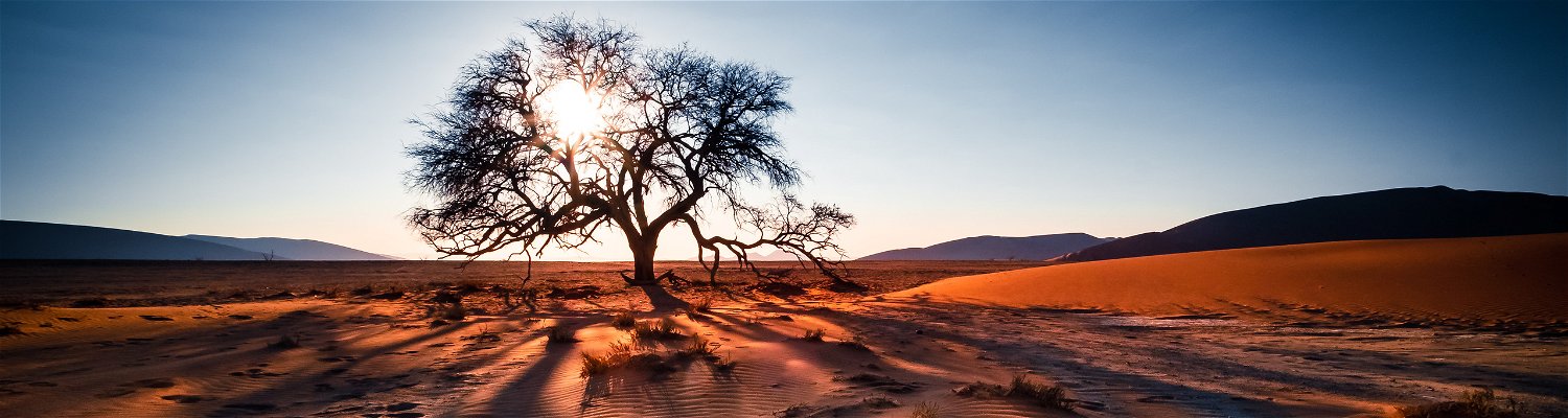 Namibian Dunes 