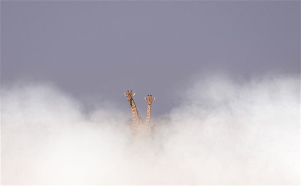 Honeymoon Namibia