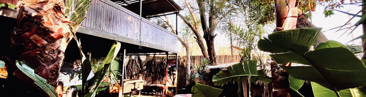 Affordable accommodation in Soweto at Lebo's Soweto Backpackers with private and shared rooms.