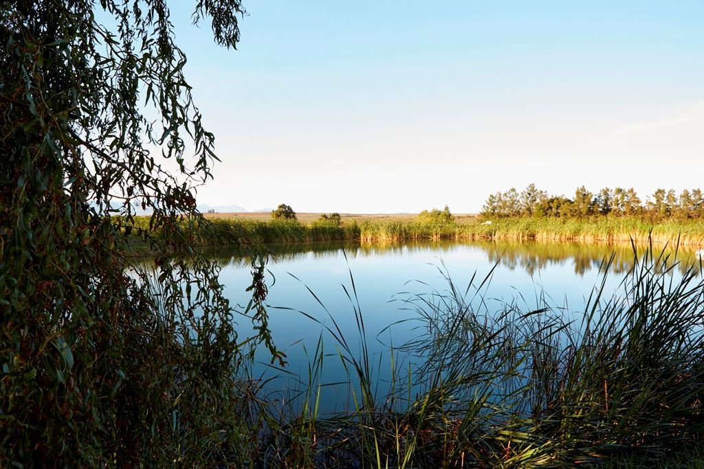 Country-style farm accommodation in Paardeberg, one hour from Cape Town
