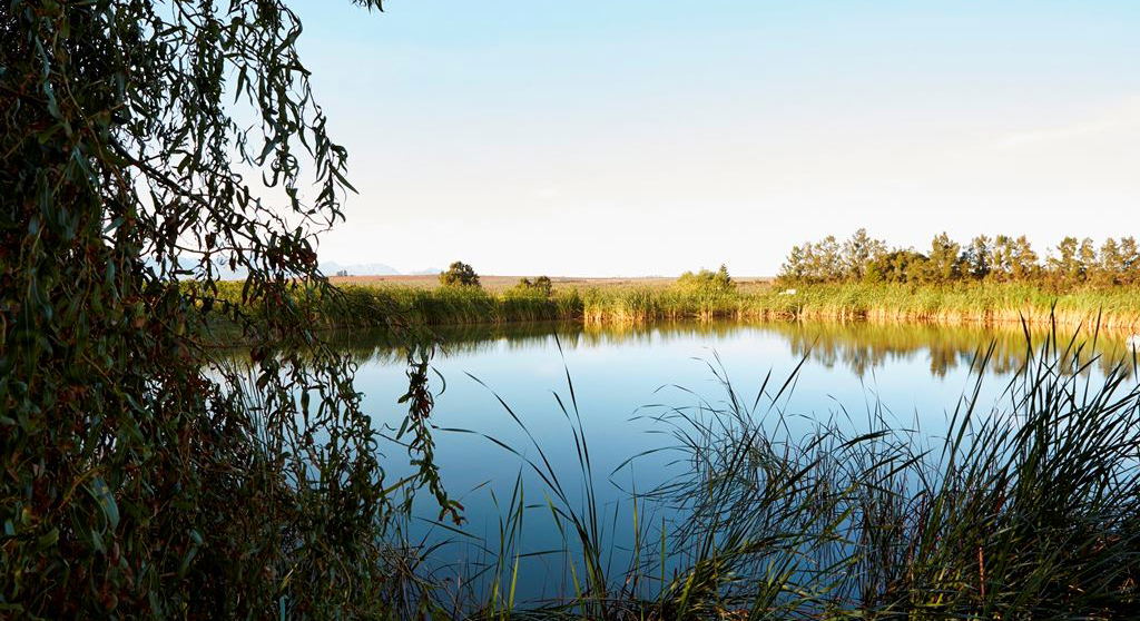 Country-style farm accommodation in Paardeberg, one hour from Cape Town