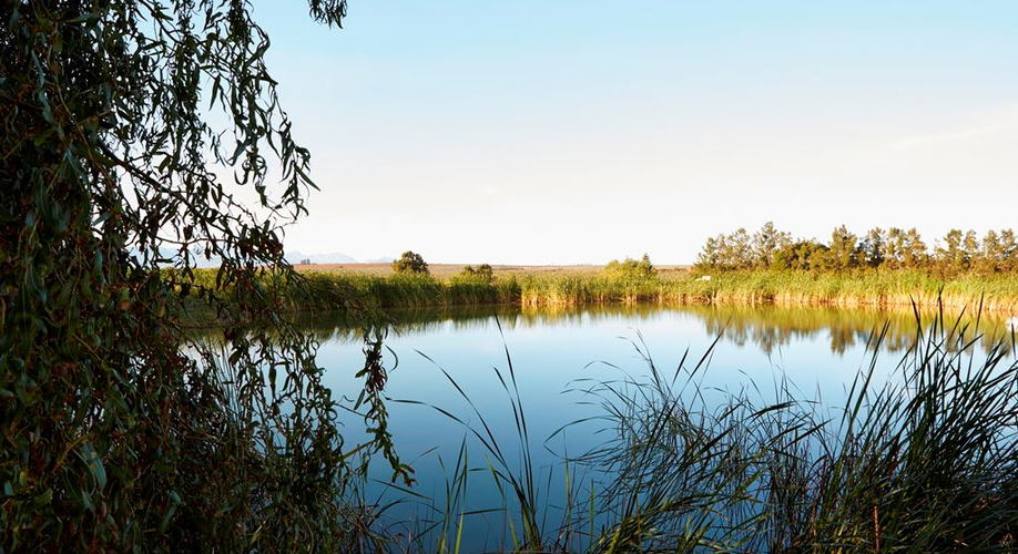 Country-style farm accommodation in Paardeberg, one hour from Cape Town