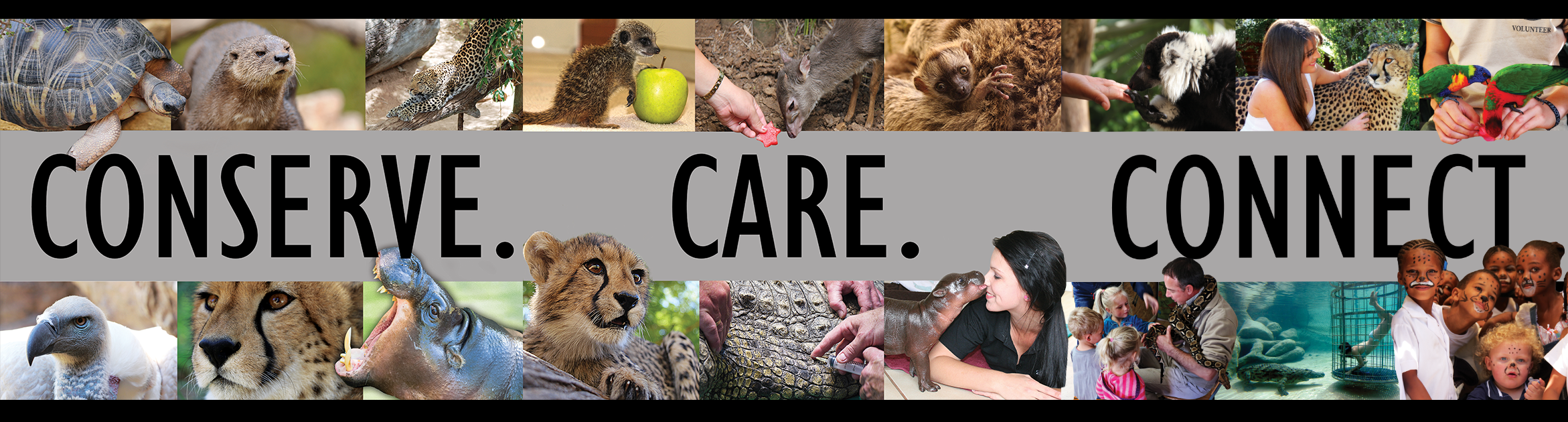 CONSERVE CARE CONNECT