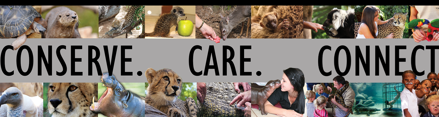 CONSERVE CARE CONNECT
