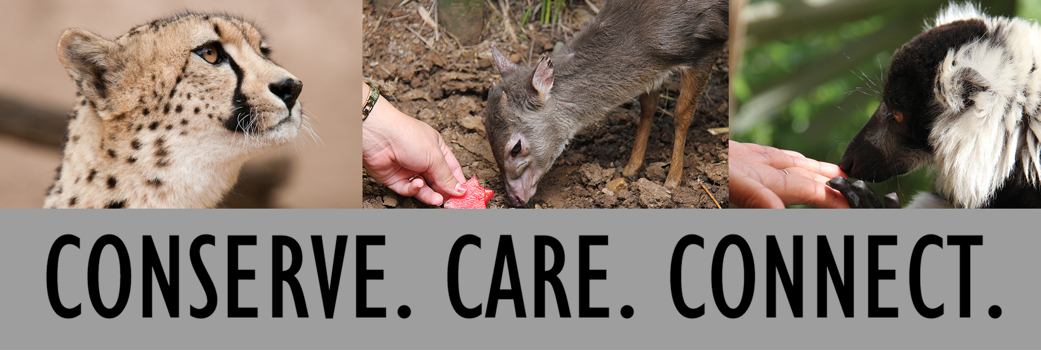 CONSERVE CARE CONNECT