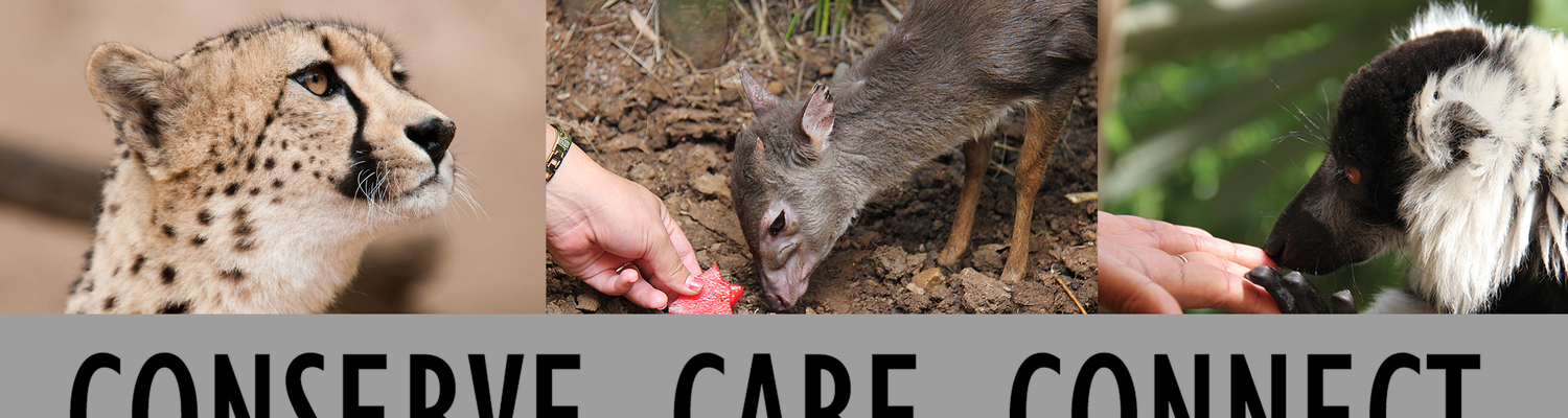 CONSERVE CARE CONNECT