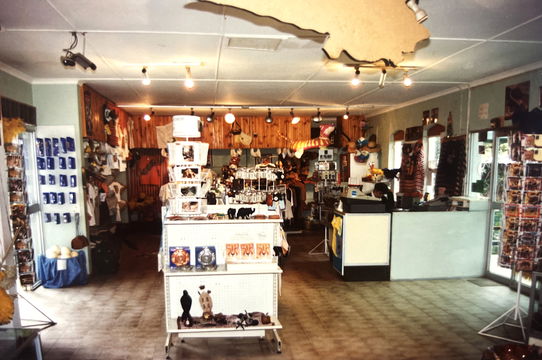 Old Curio Shop
