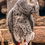 Our Bossy Feathered Supervisor