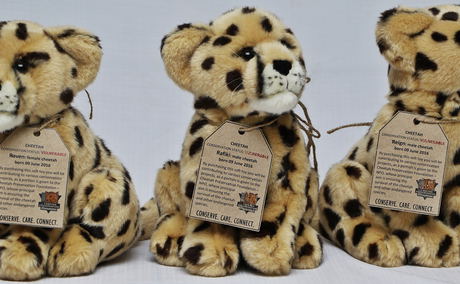 Cheetah, Soft Toy Cheetah, Soft Toy