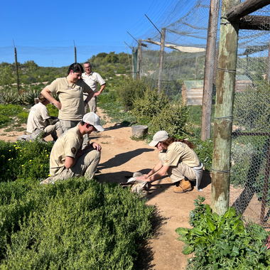 Wild Animal Volunteers