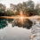 Unveiling our New Artificial Wetlands Bio-Filter