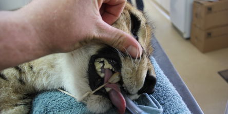 Help us to help Them