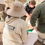 A Closer Look at Our Veterinary Internships