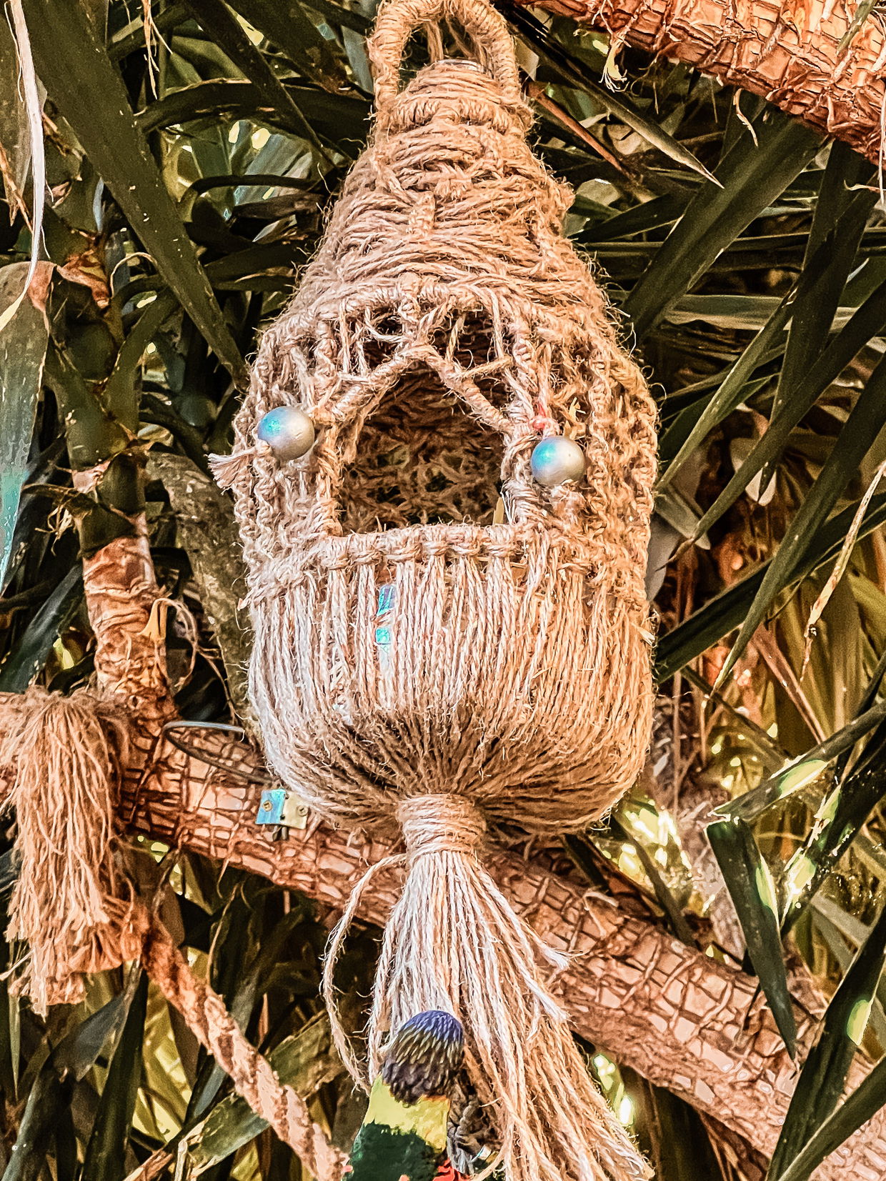Birdhouse made by Joseph
