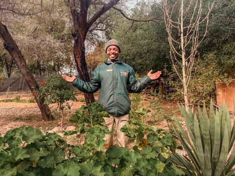 Garden at Cango Wildlife Ranch