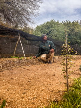 Garden at Cango Wildlife Ranch