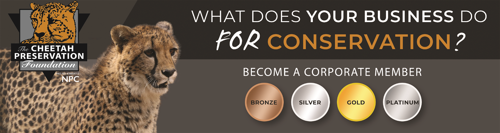 Corporate Memberships