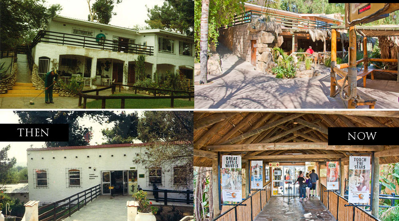 Before and after, History Before and after, History