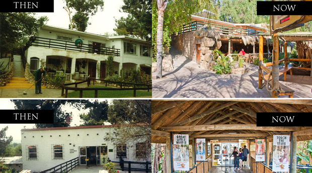 Before and after, History Before and after, History