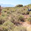 The Living Reserve