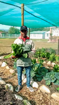 Garden at Bongolethu Primary School 