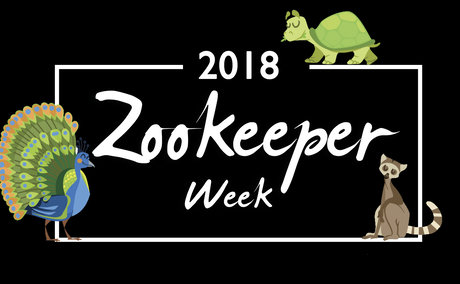 Zookeeper Week Zookeeper Week