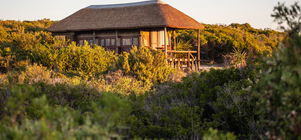 2026 JANUARY SPECIAL