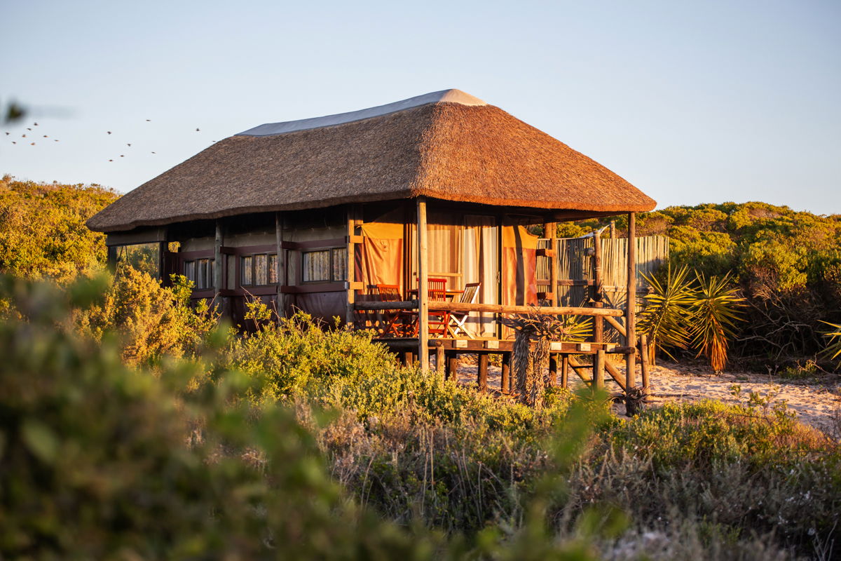 Escape to West Coast Luxury Tents | Your Private Slice of Nature
