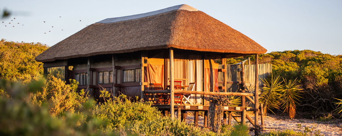 Escape to West Coast Luxury Tents | Your Private Slice of Nature