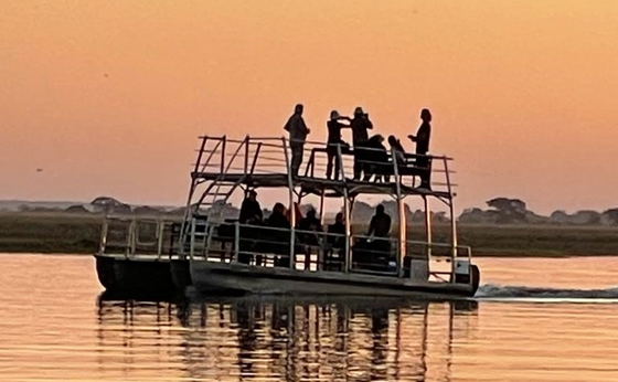 Boat Cruise Safari in Chobe