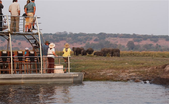 Chobe Boat Cruise Safari