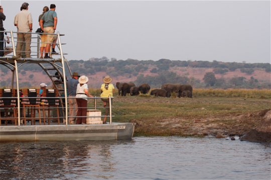 Chobe Boat Cruise Safari