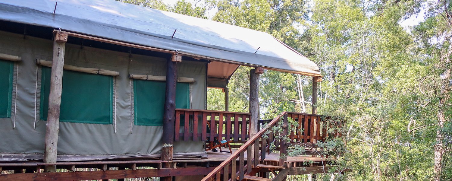 Welcome to Fernhill Tented Treehouses
