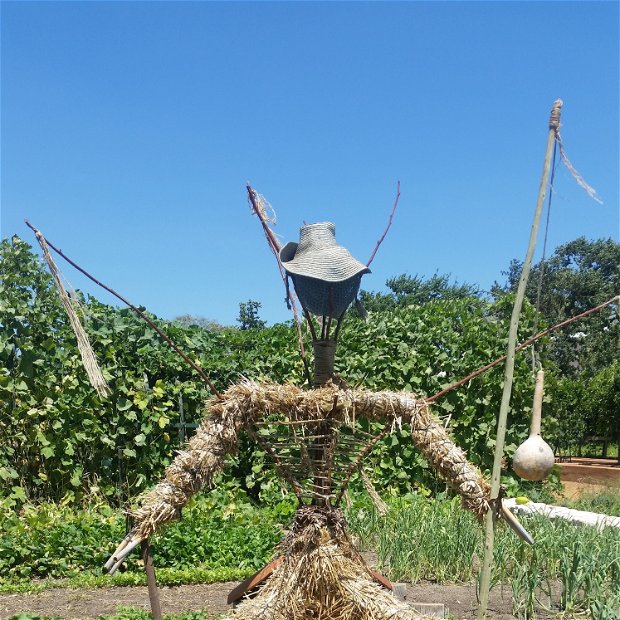 Scare crow !! Scare crow !!