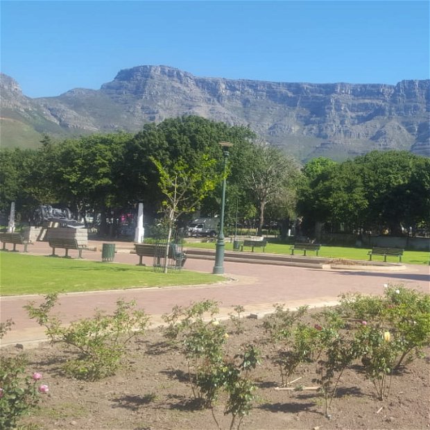 Cape Town Gardens. The Company gardens