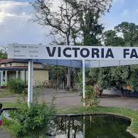 Victoria Falls