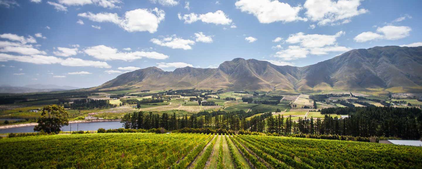 Legendary Cape Winelands day tour from Cape Town