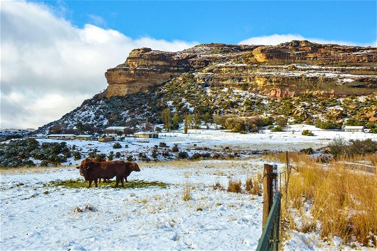 Occasional snow at Roodepoort Farm Clarens