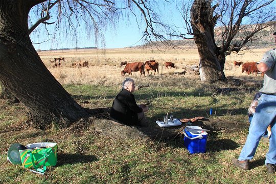 Picnic on Roodepoort Farm, Clarens
