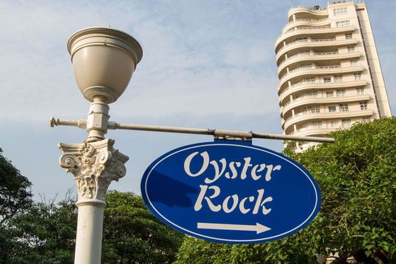 Oysters gardens