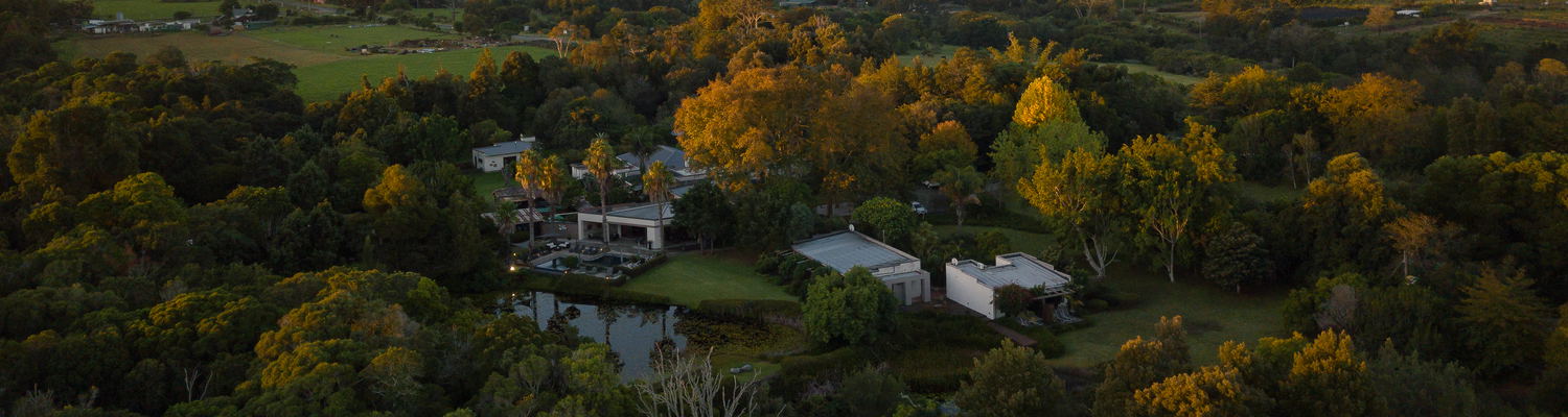 Standort Lily Pond
