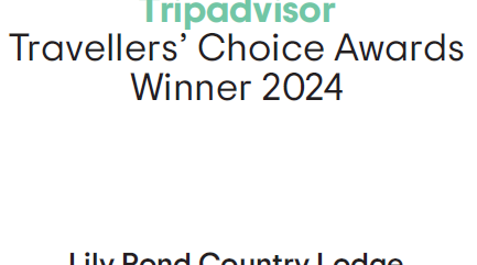 Tripadvisor, Travellers Choice Award, Lily Pond Country Lodge, top 10% Worldwide