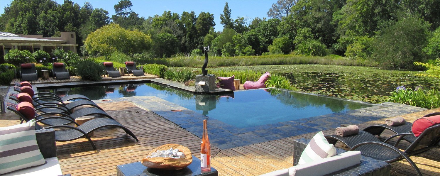 Uitzicht zwembad en vijver