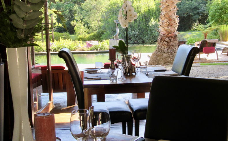 Dining at Lily Pond