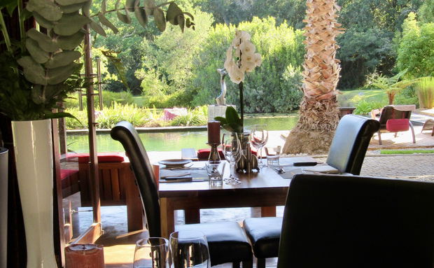 Dining at Lily Pond