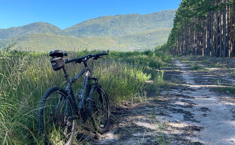 Mountain Bike Rentals