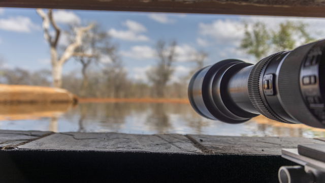 wildlife photography safari near Kruger park