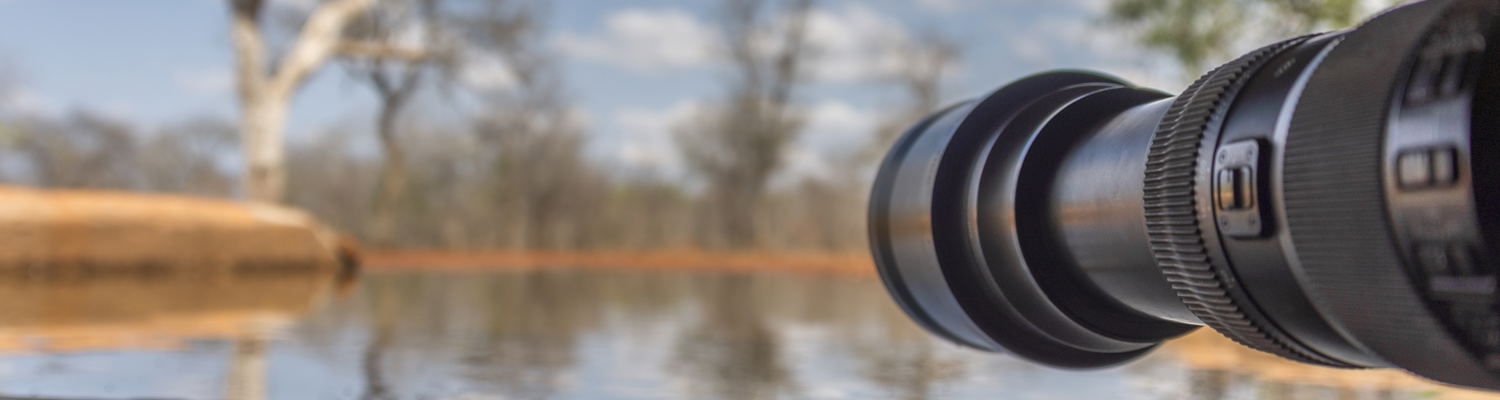 wildlife photography safari near Kruger park