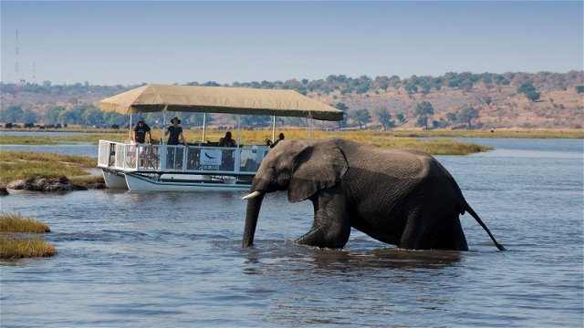 Chobe - top safari parks in Africa