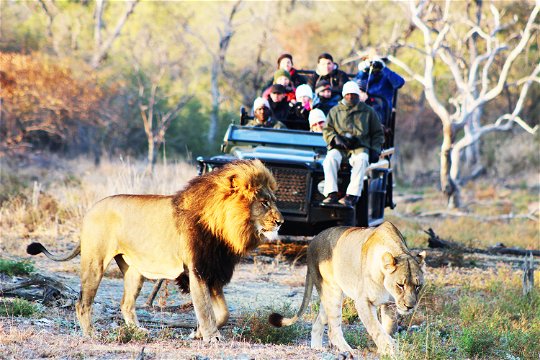 Best Luxury wildlife safari Kruger Park - Indlovu River Lodge